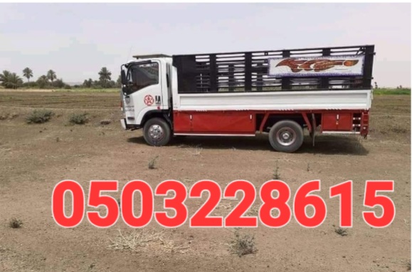 دينا نقل عفش حي الروضة أبو محمد 0503228615