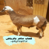 قصاب ذباح بالرياض 0534375367