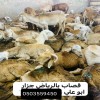 قصاب ماهر بالرياض 0503559450 قصاب ماهر بالرياض 0503559450