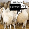 جزار ماهر قصاب متاز بالرياض 0503559450 جزار ماهر قصاب متاز بالرياض 0503559450