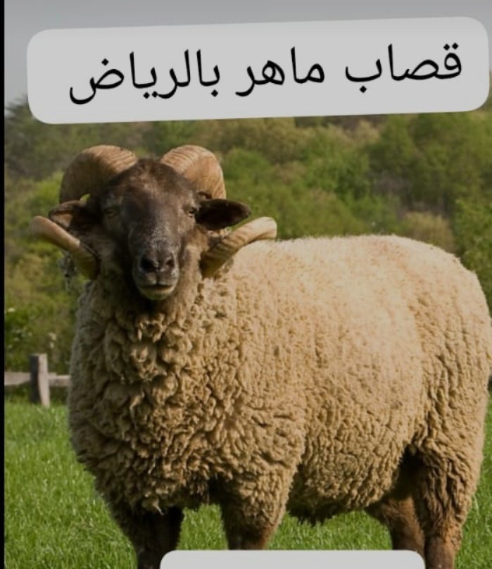 قصاب ماهر سريع داخل حي السويدي الغربي 0556418907